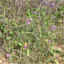 Contributer Supplied Photo